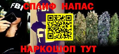 стафф Лениногорск