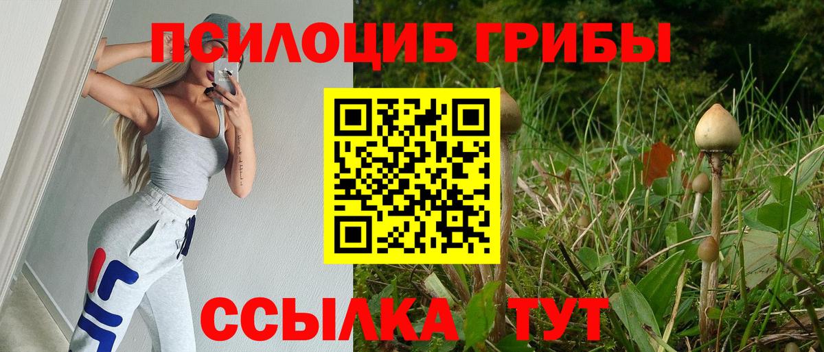Саяногорск  Галлюциногенные грибы Psilocybine cubensis  Вход с VPN  Галлюциногенные грибы Psilocybine cubensis 