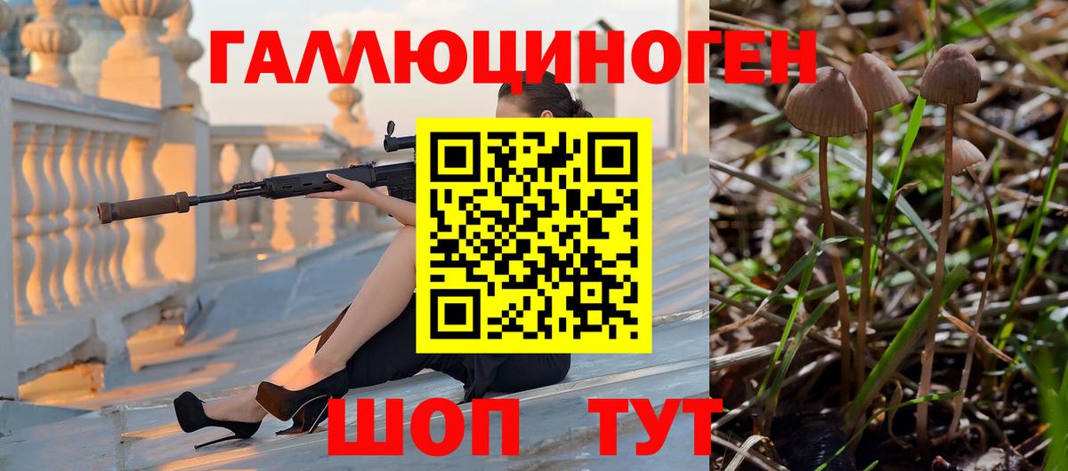 Галлюциногенные грибы MAGIC MUSHROOMS Саяногорск